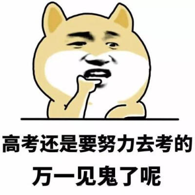 2019高考表情包