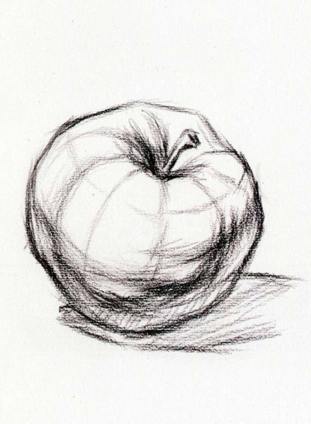 六年级美术素描苹果图片