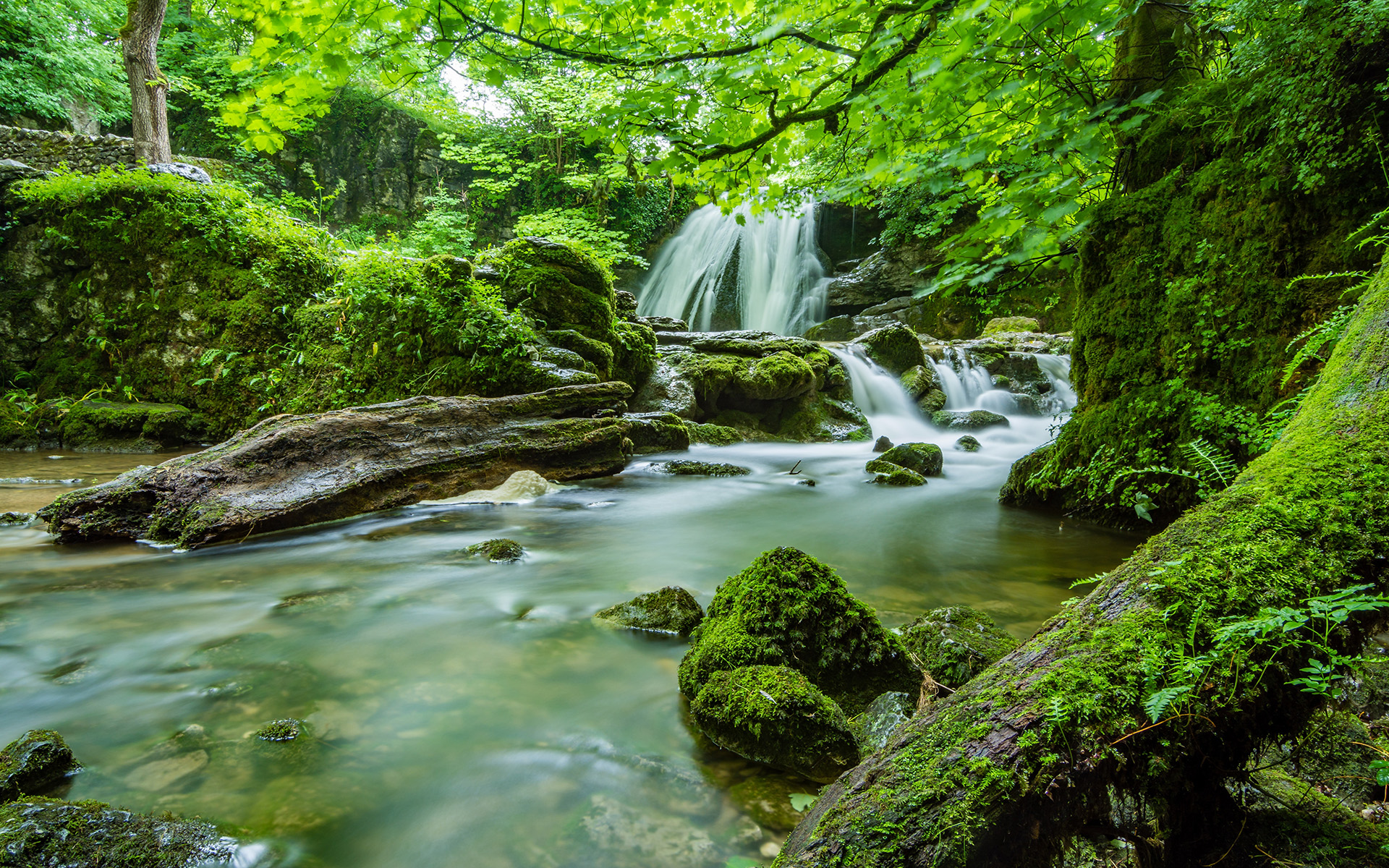 风景