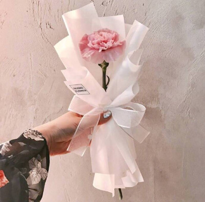 一枝花高清壁纸