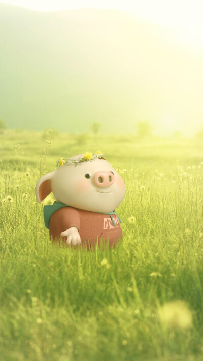 萌萌哒～可爱的小猪猪