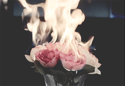 燃烧的玫瑰动图图片