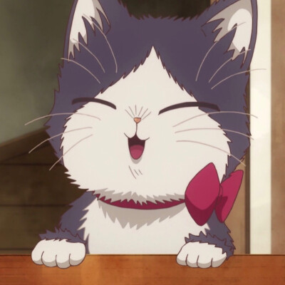 《同居人是猫》