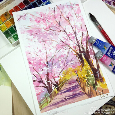 水彩 手绘 樱花