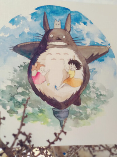 龙猫