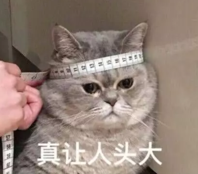 这是一个悲伤的故事表情包