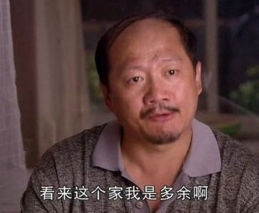 我提名苏大强 谢广坤 樊胜美她妈(不上升演员)