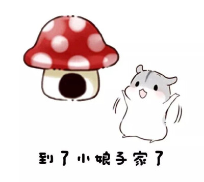 仓鼠表情包 娘子怎么还在睡?