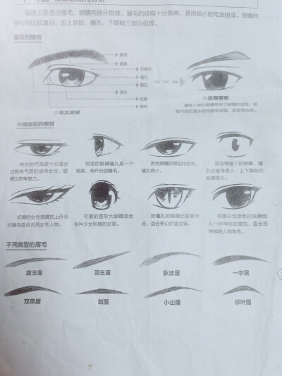 漫画人物的面部