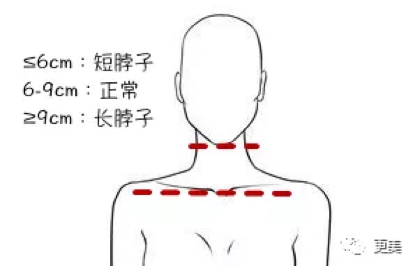 水果拳音乐教案_水果拳舞蹈教案怎么写_水果拳舞蹈教案怎么写