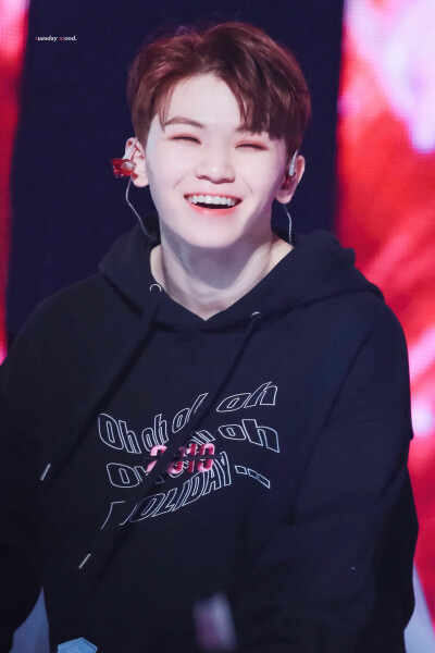 woozi 堆糖,美好生活研究所