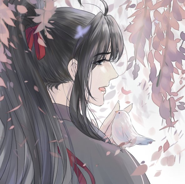 忘羡