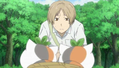 夏目友人帐缘结空蝉 夏目猫咪老师铃子