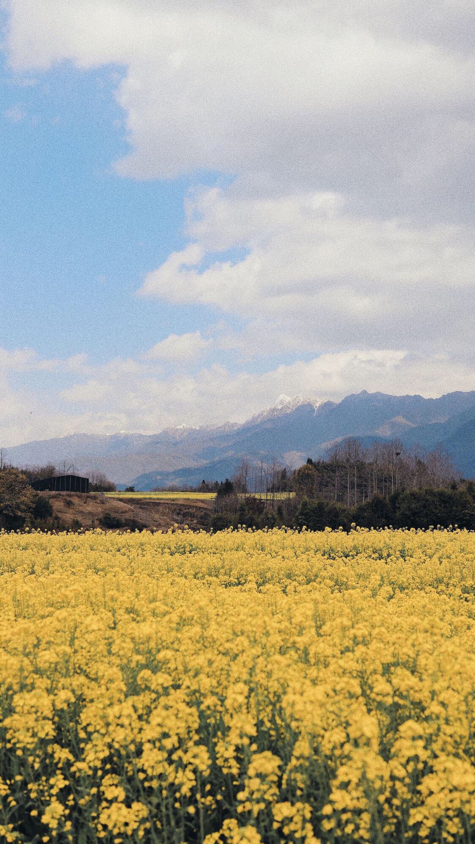 风景壁纸