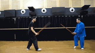 剑法,武术动作写作参考