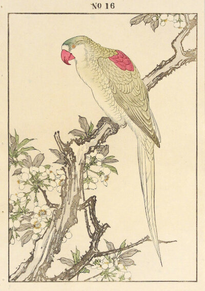 《景年画谱》画谱中描绘题材异常丰富,其造型准确性远远超出穴芥子园