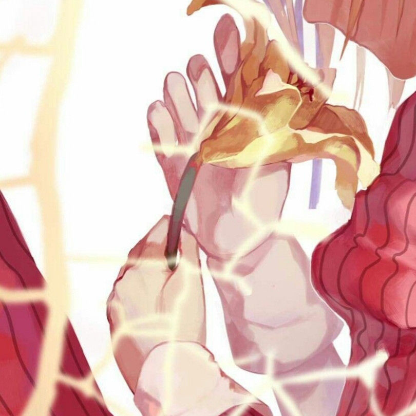 头像|自截|花|手控|aph|黑塔利亚|列支敦士登|砸罐砸|侵删