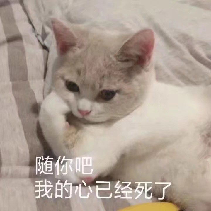 小可爱表情包