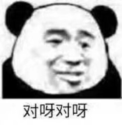 憨憨熊猫真可爱