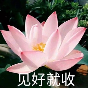 日常中老年头像沙雕头像