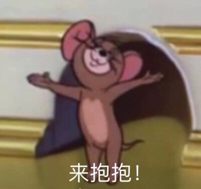 猫和老鼠表情包