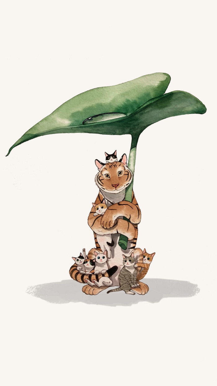 猫咪 韩国插画师grace j