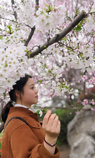地点:新都·漫花庄园天气:多云幸运的遇上了盛开的纯白樱花,却花费了