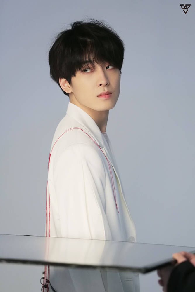 全圆佑wonwoo