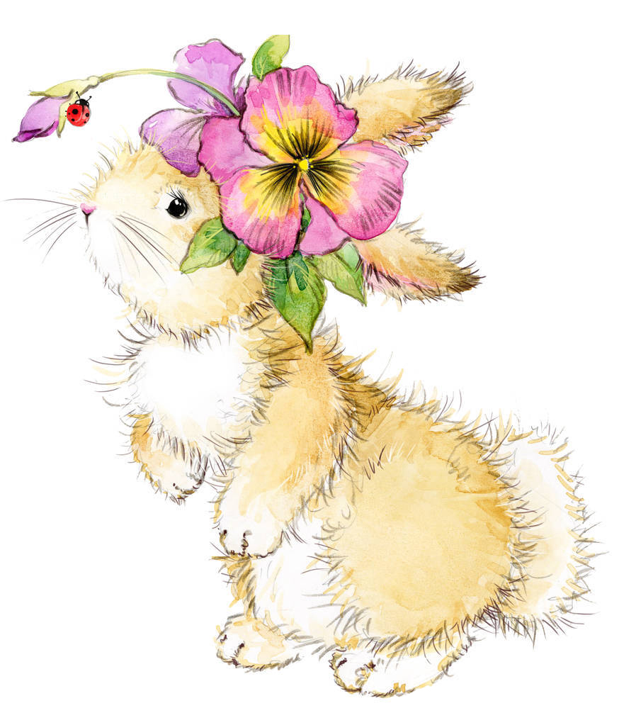 手绘 兔子 水彩 花