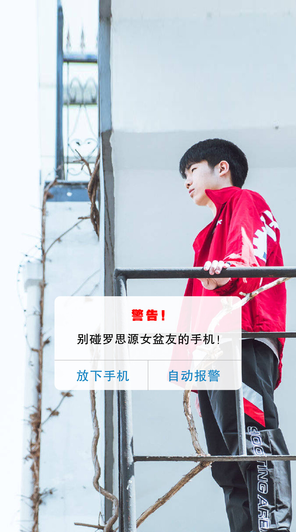estar 花海(罗思源)