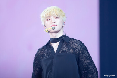 seventeen dino