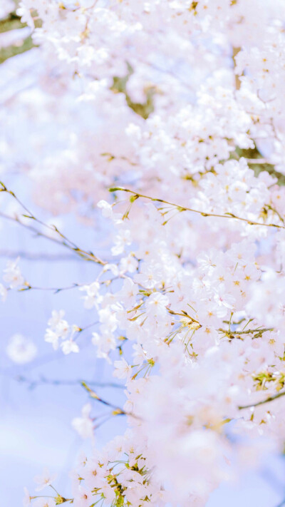 春日暖阳