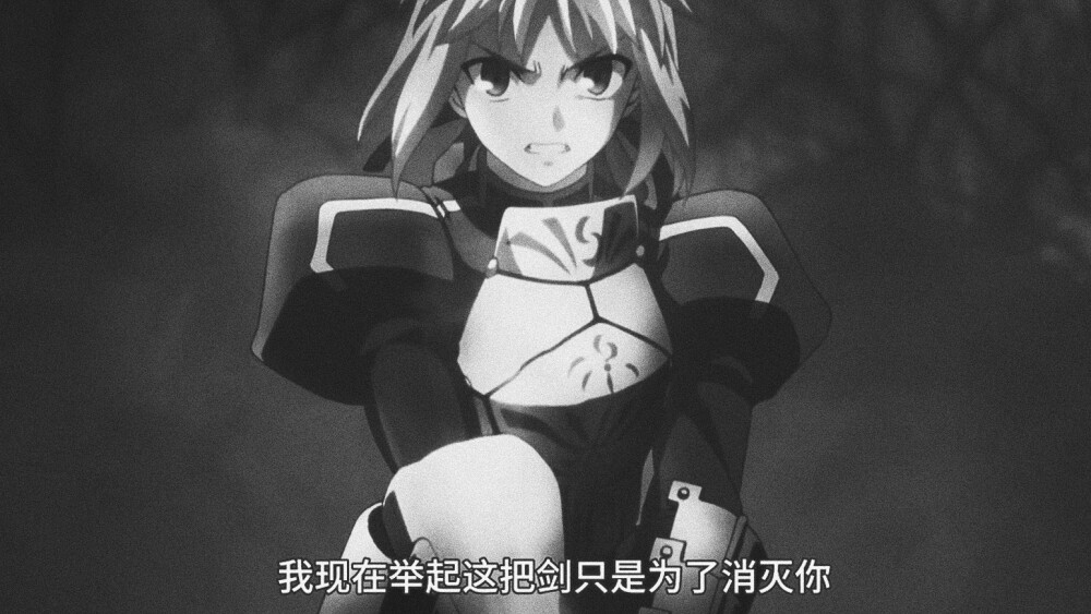 fate zero