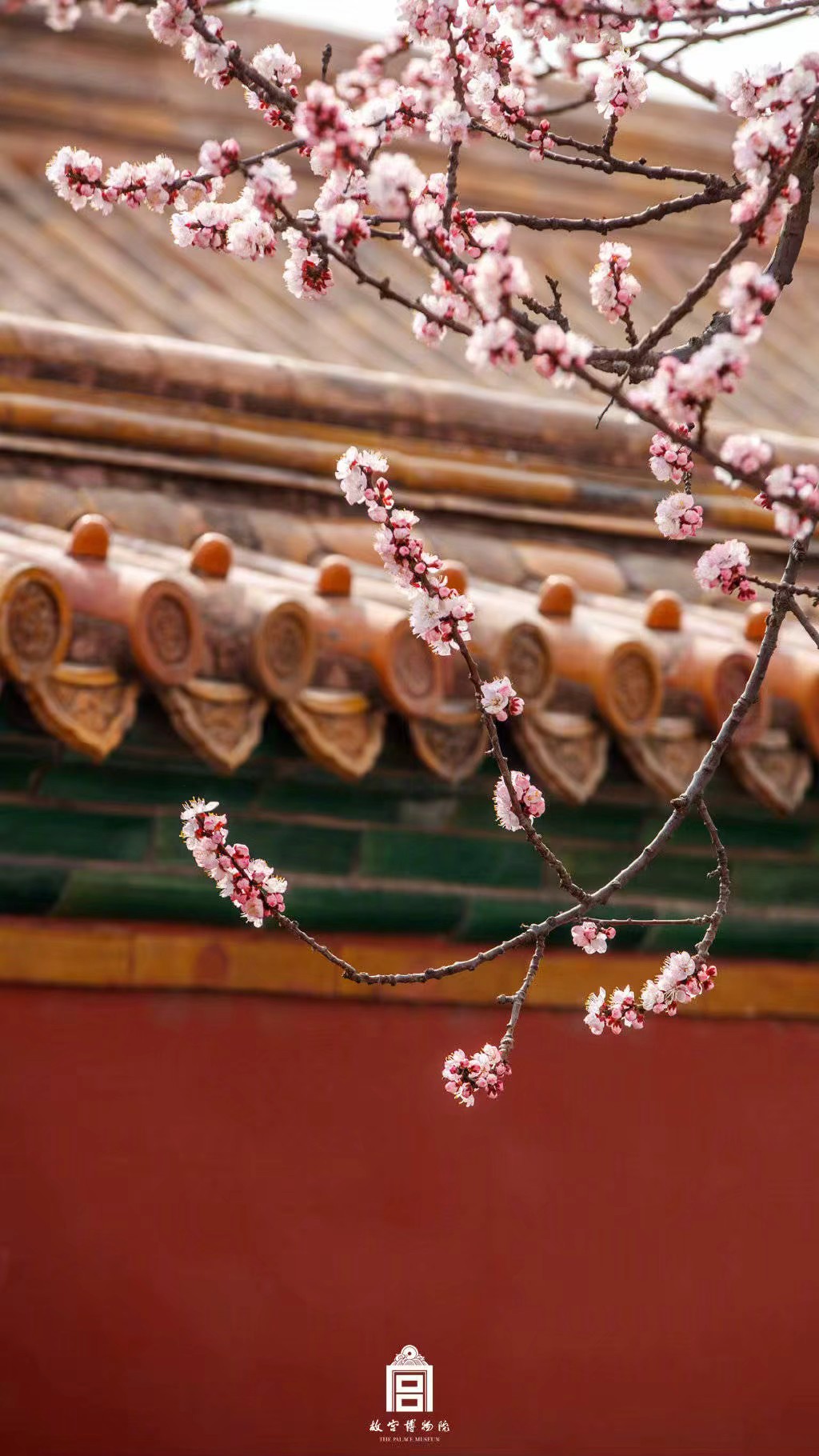 故宫 古风 壁纸 背景