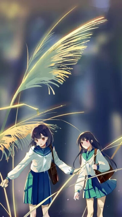 月光美少女动漫