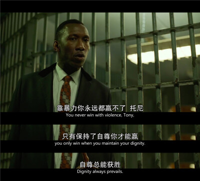 绿皮书