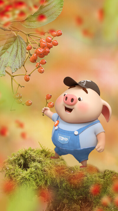 可爱的猪小屁 - 堆糖,美图壁纸兴趣社区