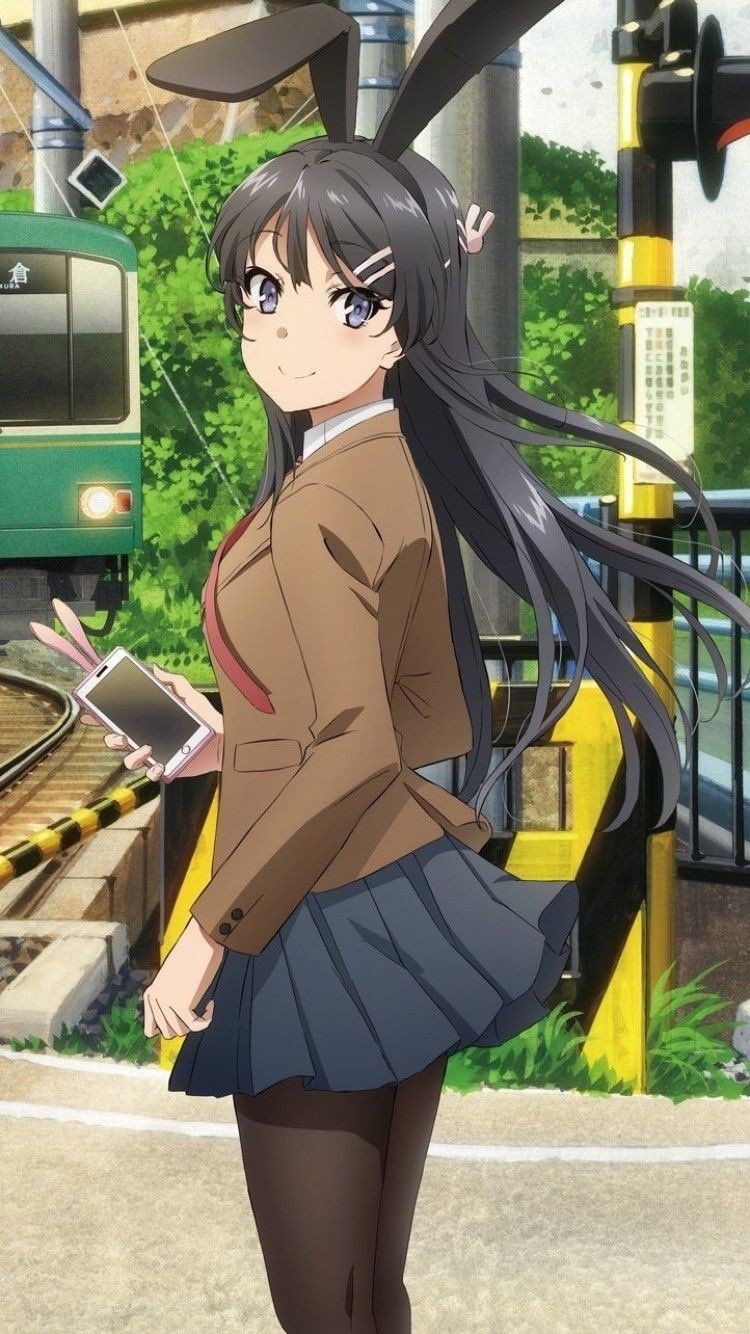 青春猪头少年,不会梦到兔女郎学姐