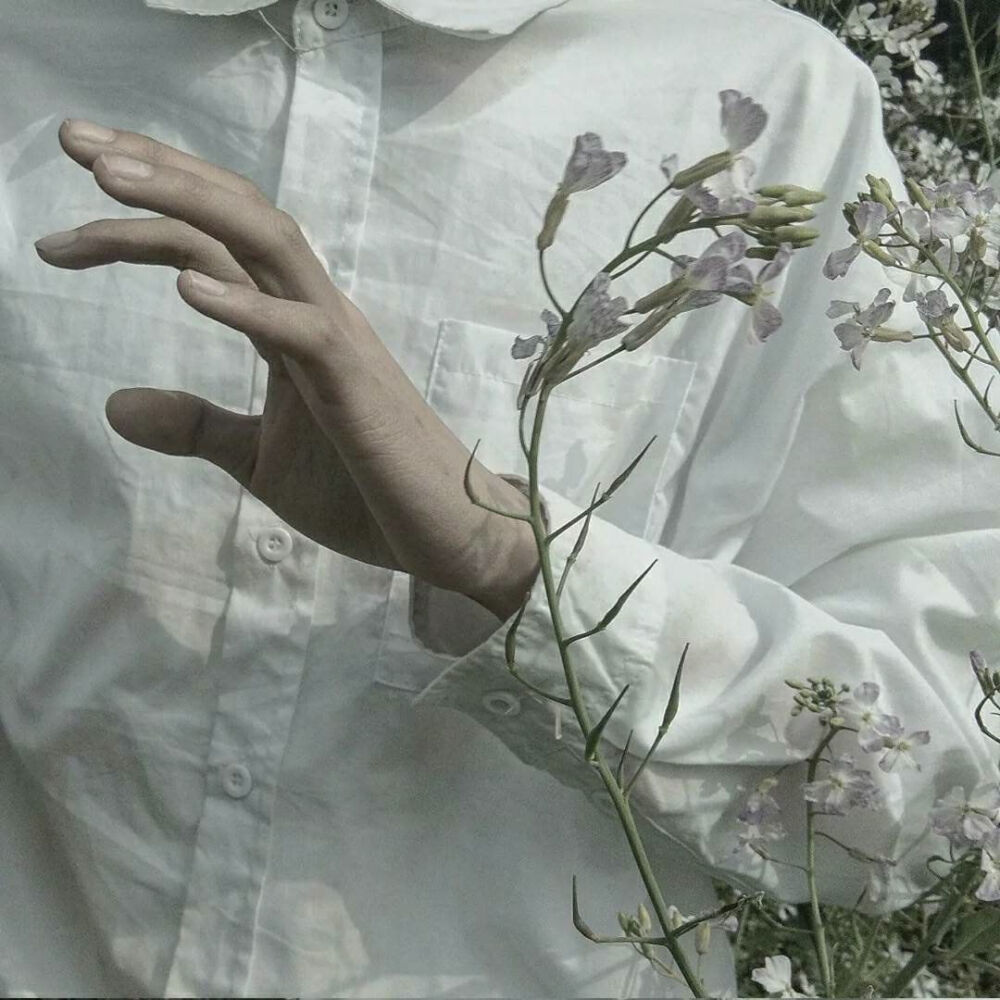 干净男头