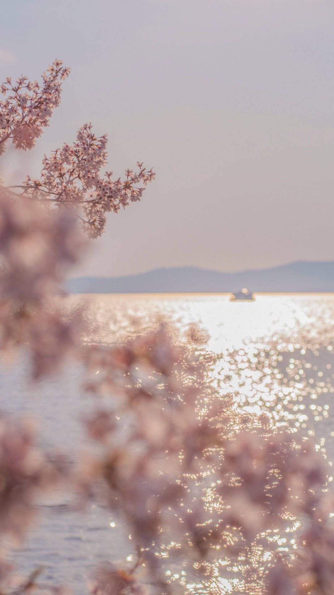 wallpaper 壁纸