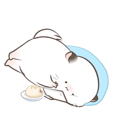 四毛六毛