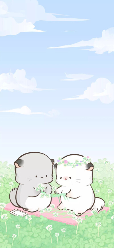 四毛六毛