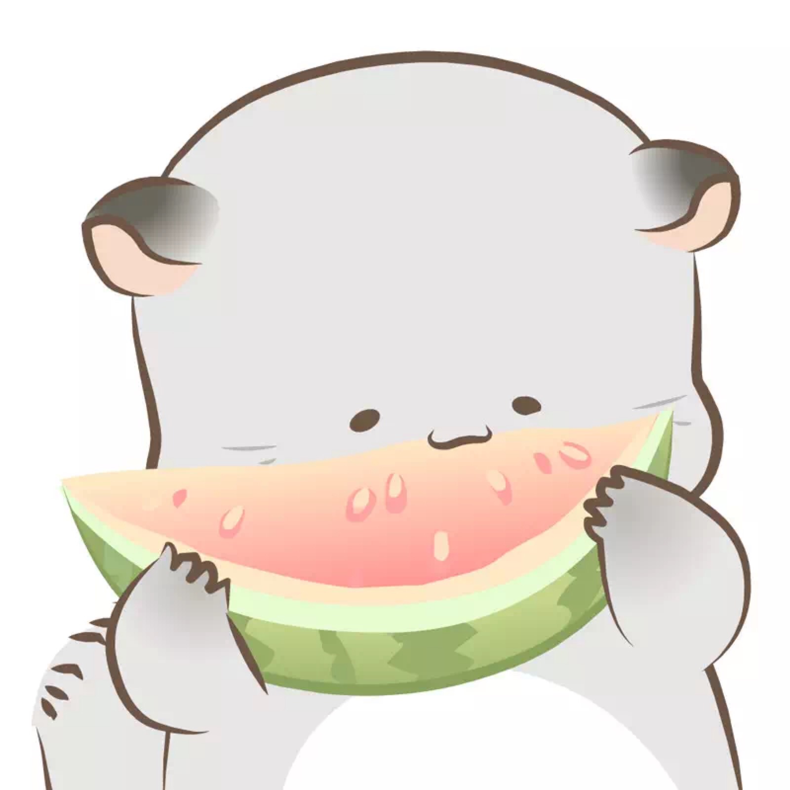 八毛与四毛(夏日篇)
