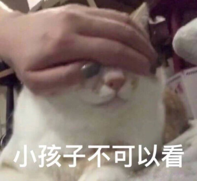 今日份表情包来啦侵权立删 小孩子不可以看你本来就很丑,可不能再熬夜