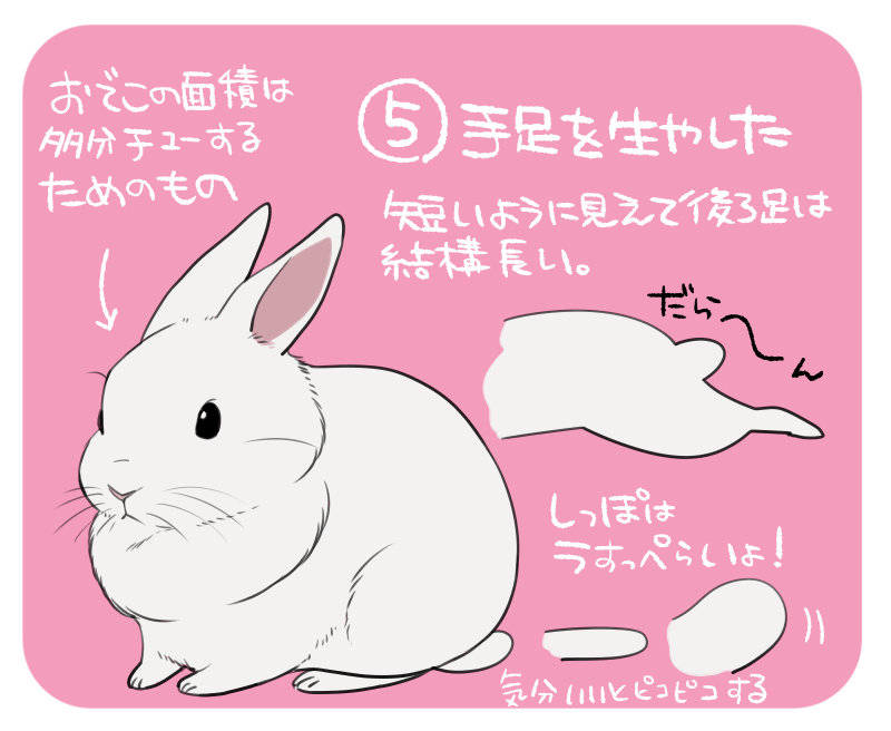 兔子绘画教程