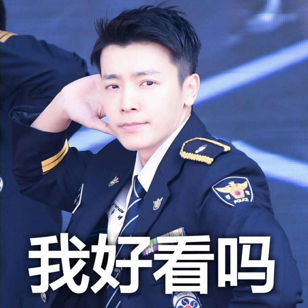 superjunior成员表情包图片