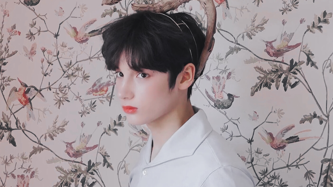 txt休宁凯7908葵花酿酒 - 堆糖,美图壁纸兴趣社区