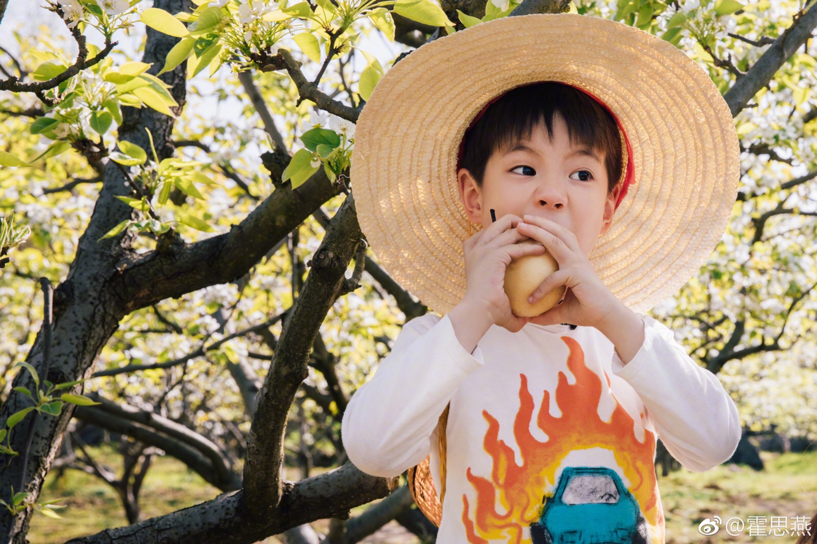 嗯哼- 堆糖,美图壁纸兴趣社区