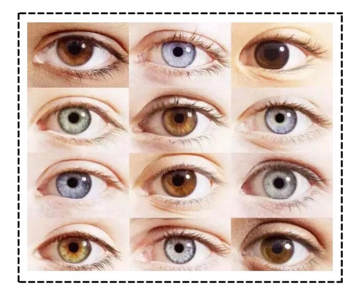 中国人瞳孔有几种颜色图片