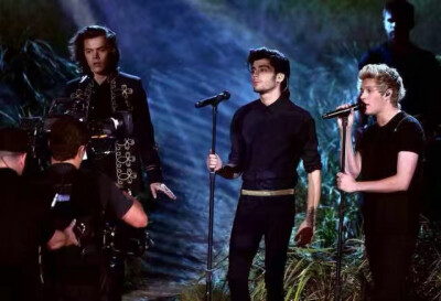 one direction